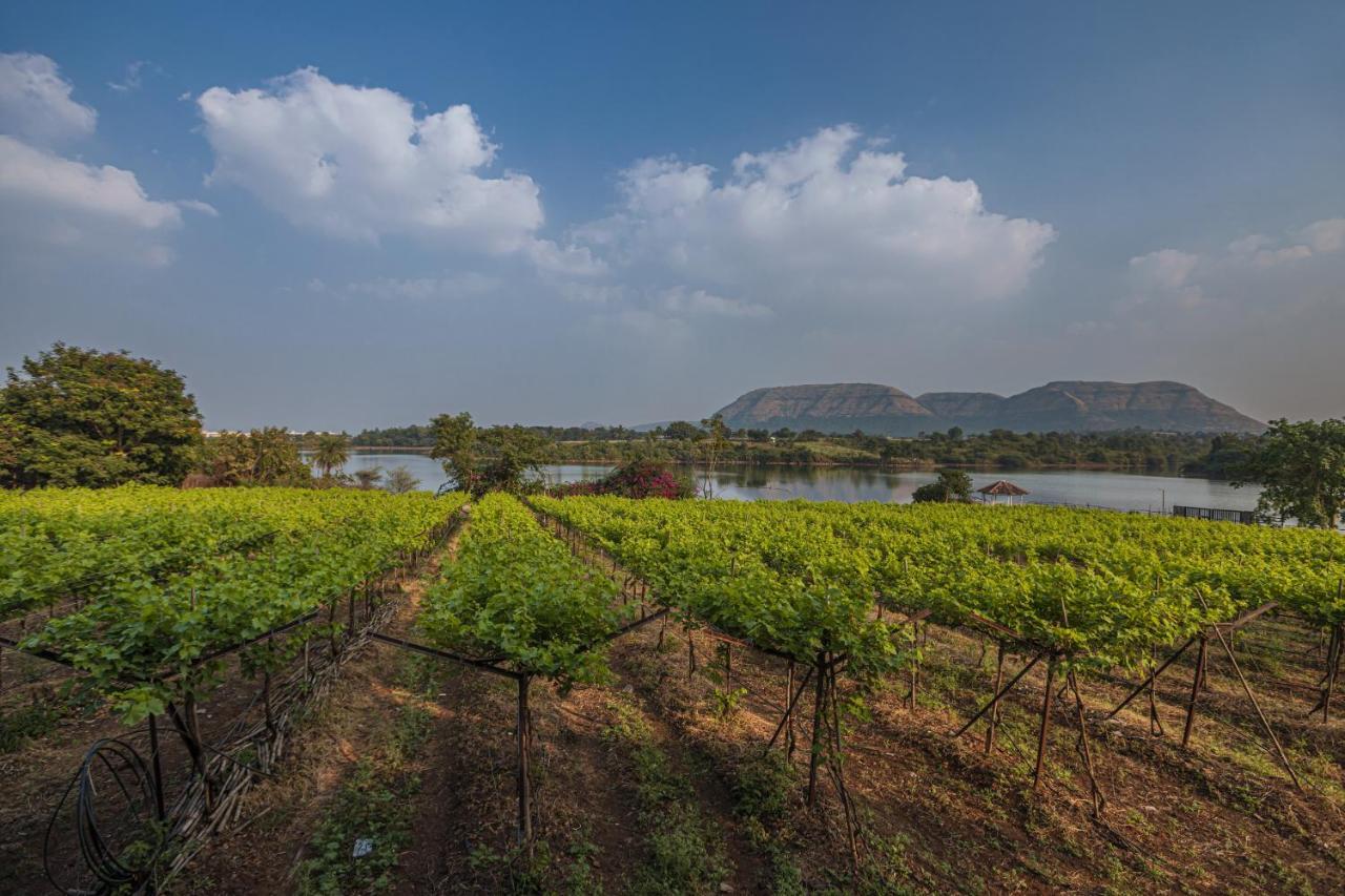 Saffronstays House Marigold, - Rustic With Private Plunge Pool Nashik